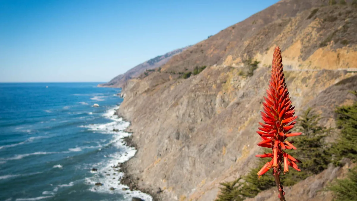 Coastal cliffs and ocean waves with a vibrant red aloe flower in California.