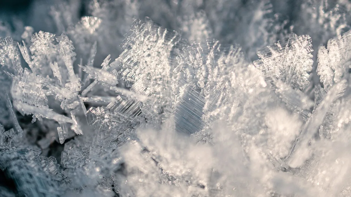 Close-up view of detailed frost crystals on a leaf, capturing the beauty of winter's icy patterns.